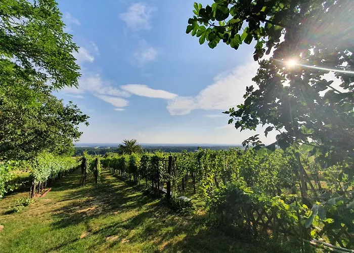 بيت للعطل Pocitniska Hisa Grube Z Wellnesom